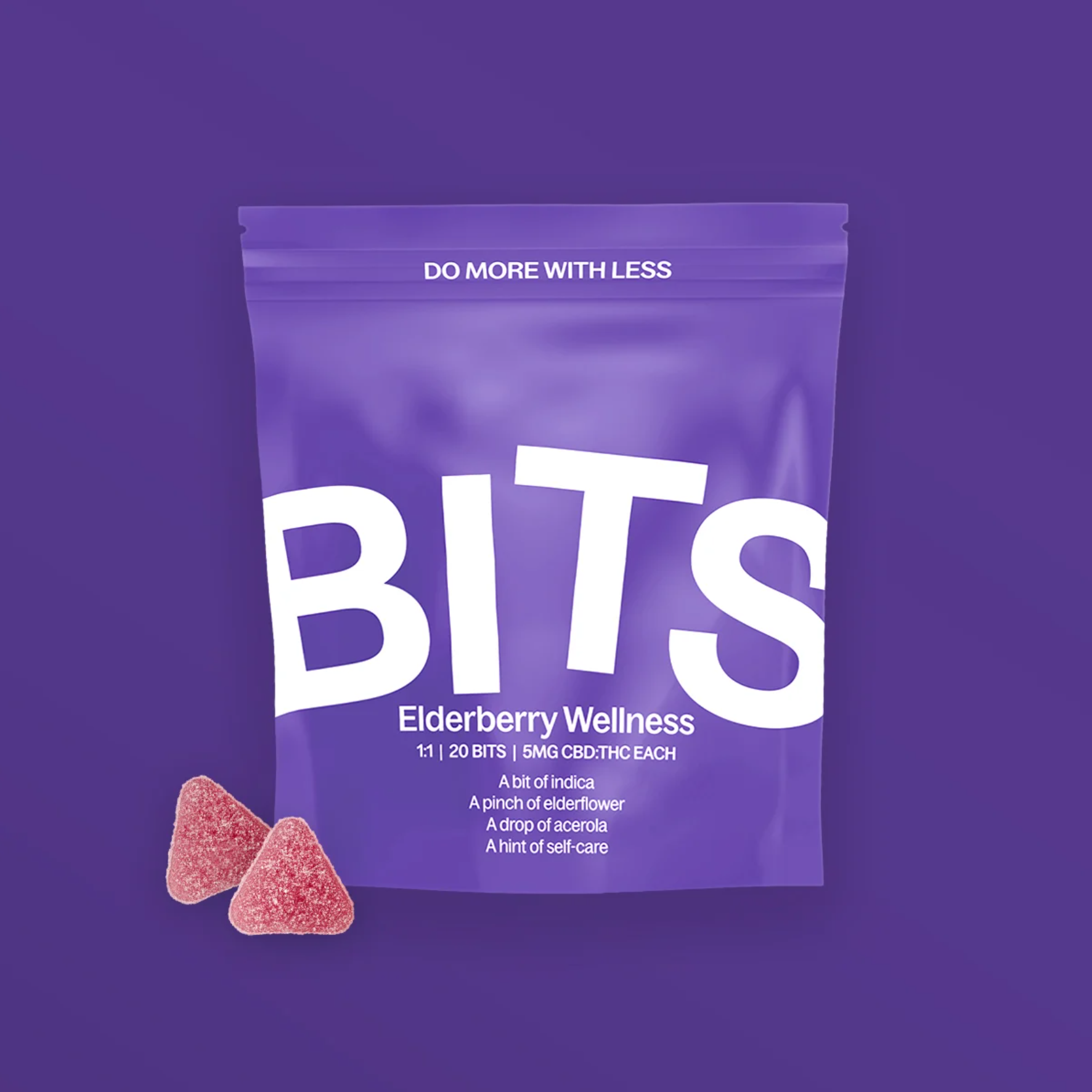 BITS | Elderberry Wellness 1:1 | Edibles | 20pk | 100mg
